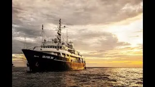 Palau (MV Solitude One)