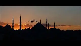 Reşit Çağın Arşivi 48-Münir Nûreddin Selçuk: Martılar Ah Eder - Kanatları Gümüş Yavru Bir Kuş