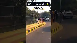 cdlu sirsa
