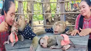Animals Family with Human Caretakers - Most HEARTWARMING Bond You'll Ever See