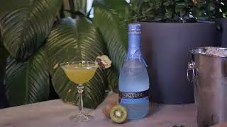 Shiso Kiwi Gin