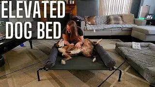 WESTERN HOME Elevated Dog Bed Cot | Raised Outdoor Dog Bed