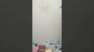 11 мая 2024 г.