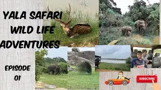 Yala Safari - Episode 01