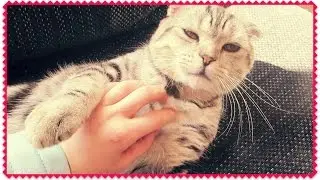 VLOG: ТО ЛИ СНЕГ ТО ЛИ ГРАД! 14.03.15