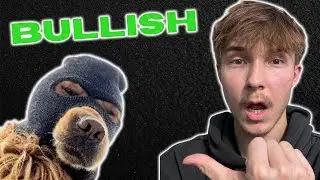 Crypto Market Update: Ski Mask Dog Coinbase Listing? (Bullish!)