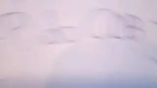 Viagando para o brasili