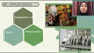 MGT555  ASSIGNMENT 2 COUNTRY (SOUTH BRAZIL)