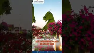 Dubai Miracle Garden is back in bloom! 💐