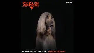 Hermann Bravo, Vegaans - Right To The Flow (Original Mix) [SAFARI GROOVE MUSIC]