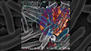 Jackal Queenston & Darius - funny organism