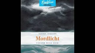 Hannes Nygaard - Mordlicht - Hinterm Deich Krimi, Band 3