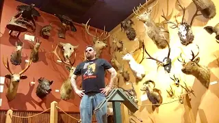 TDW 1683 - This Is A Lovely Room Of Death