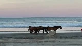 OBX 4x4 Day 2021