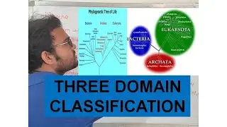 BIOLOGICAL CLASSIFICATION PART 5 - THREE DOMAIN CLASSIFICATION II NEET II ALL B.Sc. and M.Sc. ENT.