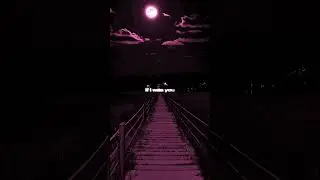 The Weeknd - Timeless (Lyrics)