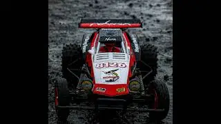 What are the Top Paint Colors for the Tamiya Hornet R/C Buggy?