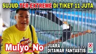 Pemilik Sujud Extrem Di Tiket 11 Juta ‼️ Mulyo_no belum hoki ‼️ SMM feat H Jui