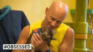 &lsquo;I honestly prefer cats over humans&rsquo;: How one man adopted 26 cats