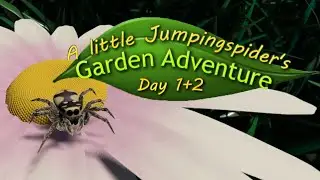 A Little Jumpingspider's Garden Adventure | DEMO | CUTE GAME ENDS UP BEING A RAGE GAME