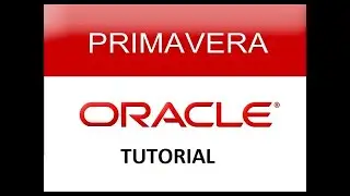 Primavera P6 Tutorial for Beginners | What is Primavera P6 Used For? | Core features of Primavera P6