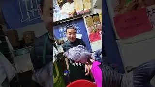 鱼换万物，怎么这些老板都不拒绝我下呢😂#浙里最有劲 #vlog十亿流量扶持计划 #抖音钓鱼人 #黑坑钓鱼 #钓鱼人