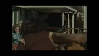 I SAW THAT