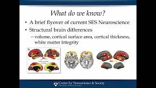 V Neurophilo - Martha Farah
