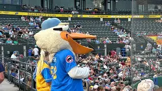 Wrigley at the Beach! - Myrtle Beach Pelicans Ballpark Review 