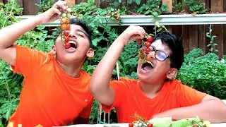 ETAING FROM OUR OWN GARDEN | BEAST BROTHER JE |#Mukbang #asmr
