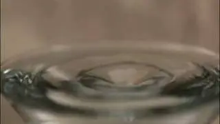 4000 FPS A beauty by nature in UltraSlo