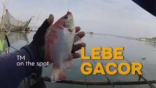 SPOT BARU LEBE GACOR, MANCING WKO