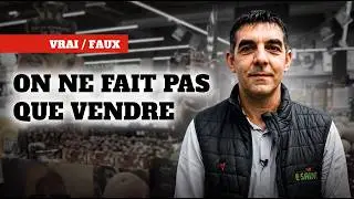 VRAI / FAUX : le métier de chef de secteur GMS (avec Karim Landolsi)