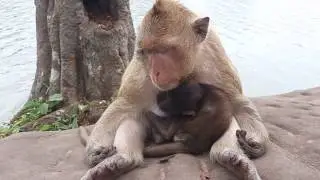 MG! Why Bree & mom sit like this? Breen & her baby tired and hungry|They are tired