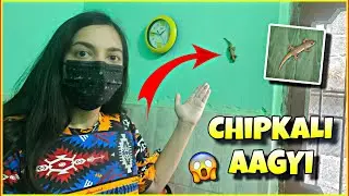 GHAR ME CHIPKALI AAGYI 😰|| ANADHIKA VLOGS