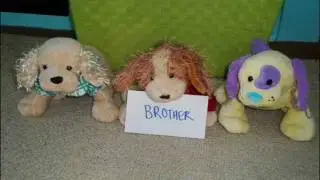 Best Friend's Brother (BFB) - Webkinz Music Video