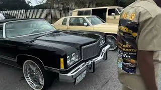 My Dog &ldquo;coota&rdquo; bring pressure at my 1st annual🔥#carshows#305#dadecounty