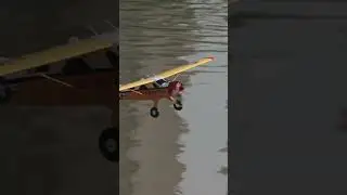 ✈️ FMS 800mm Beaver скоро станет вашим любимым фонарем в парке.