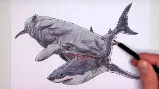 Drawing and Coloring Levyatan Whale vs Megalodon Shark   Sea Monster Battle Color Pages for Children