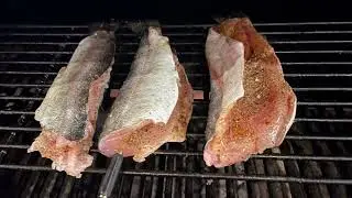 Rocky Mountain Rainbow Trout - Quick Cook on the Pitboss Sportsman 820