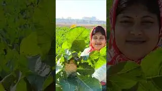 নিজের চোখে না দেখলে বিশ্বাস করতাম না😱#shorts #bangla #minivlog #trending #viral #coffee #farming