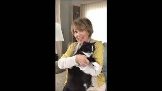 FANIMAL Fundraiser: Susan Banks & Special Guest Ralphie Vote Team Cat! SPCA Serving Erie County, NY
