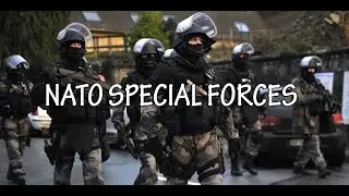 Nato special forces Together 2017