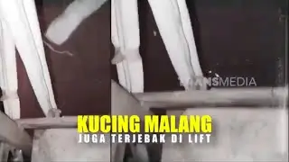 Kucing Malang Terjebak Di Lift | UJUNG-UJUNGNYA DAMKAR (01/12/25)