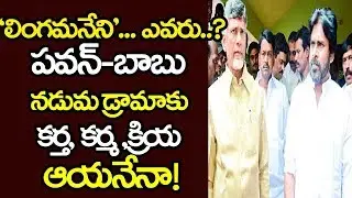 Lingamaneni Group Offering Royal Treatment to Pawan kalyan in Guntur | Chandrababu | YOYO TV Channel