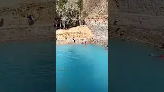 people diving in water
