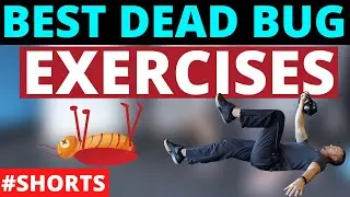 Best Dead Bug Core Exercises For Herniated Disc & Fusions #shorts