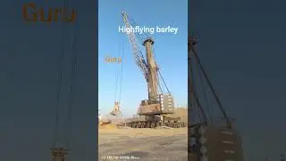 crane operation #marinelife #myhappyness #ship #gulflife #saudiarabia #shipping #trendingshorts