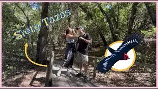 Pajareando como un entrenador Pok&eacute;mon
