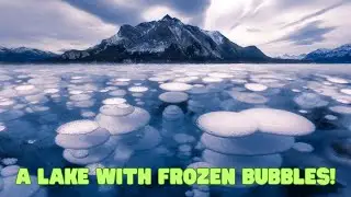 Frozen Methane Bubbles Turn Abraham Lake in Canada Into Winter Magic